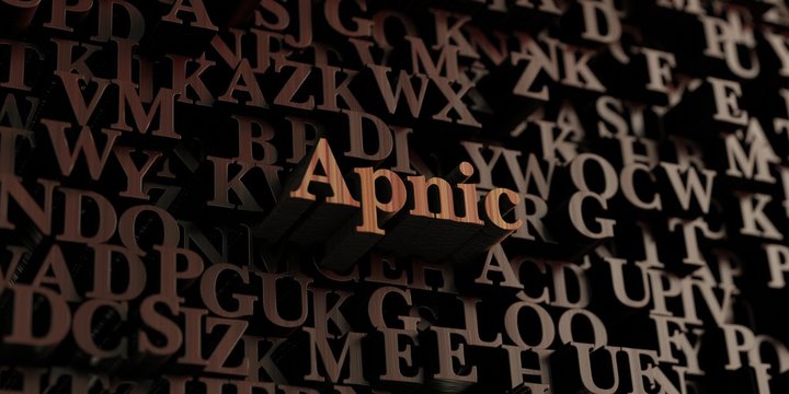Apnic - Wooden 3D rendered letters/message.  Can be used for an online banner ad or a print postcard.
