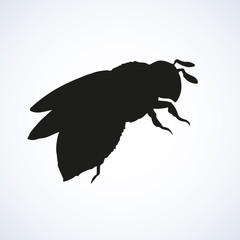 Bee. Vector drawing