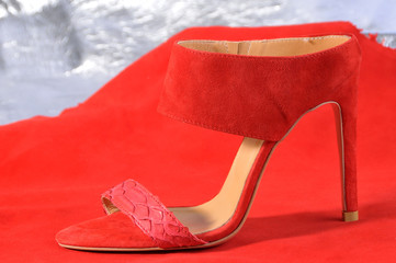shoe or women sandal. heeled sandals