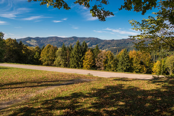 Black Forest Panorama