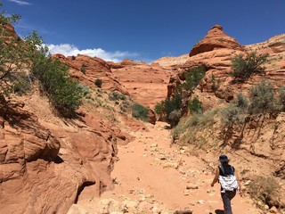 slot canyon, Grand Staircase-Escalante, Utah, USA
