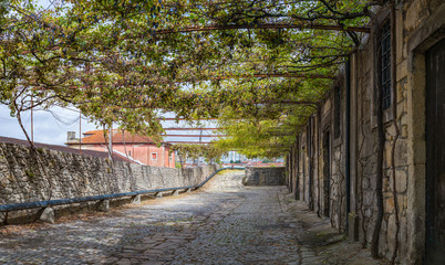 Vineyard winery city terrace roof cellar entry Porto