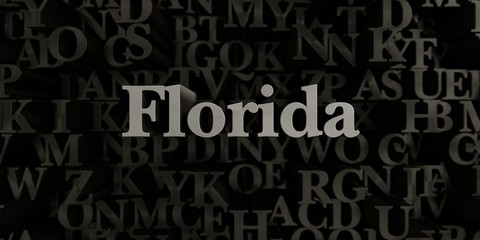 Florida - Stock image of 3D rendered metallic typeset headline illustration.  Can be used for an online banner ad or a print postcard.