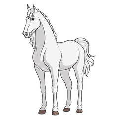 Obraz na płótnie Canvas Color vector image of a white horse.