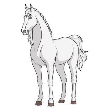 Color vector image of a white horse.