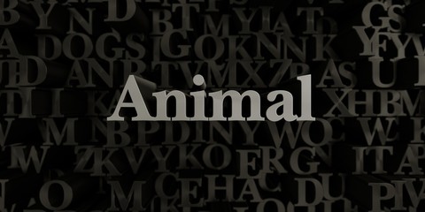 Animal - Stock image of 3D rendered metallic typeset headline illustration.  Can be used for an online banner ad or a print postcard.
