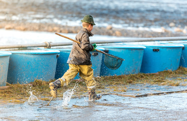 Young fisherman boy running with fish landing net, Vrkoc pond, Ivan, South Moravia, Czech Republic