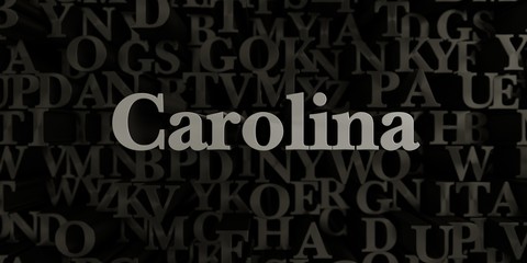 Carolina - Stock image of 3D rendered metallic typeset headline illustration.  Can be used for an online banner ad or a print postcard.