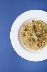 A dinner dish of chicken and mushroom risotto rice on a bright blue background
