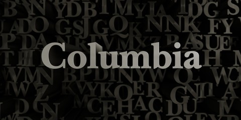 Columbia - Stock image of 3D rendered metallic typeset headline illustration.  Can be used for an online banner ad or a print postcard.