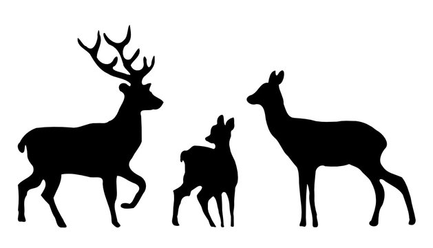 Hirsche Familie