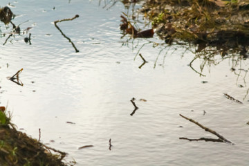 blurred background of Autumn creek surface