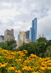 Central Park und Skyline
