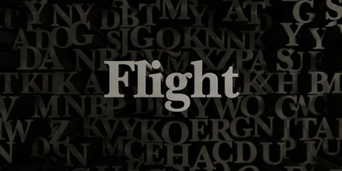 Flight - Stock image of 3D rendered metallic typeset headline illustration.  Can be used for an online banner ad or a print postcard.
