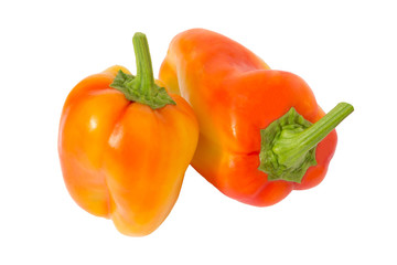 Pepper. Capsicum colored.