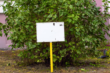 blank sign at the background of Bush