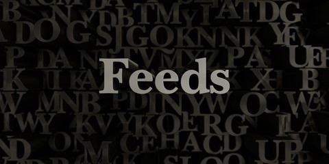 Feeds - Stock image of 3D rendered metallic typeset headline illustration.  Can be used for an online banner ad or a print postcard.