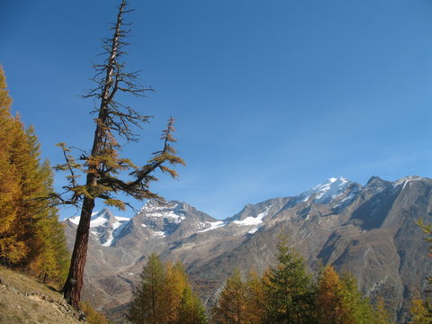 Herbst im Wallis