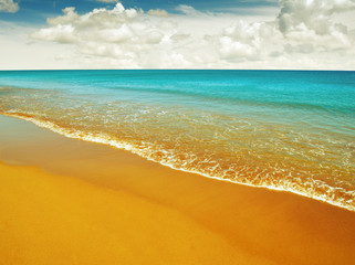 beach and sea