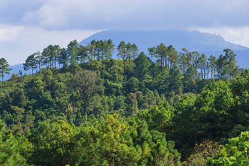 Obraz premium Mount View