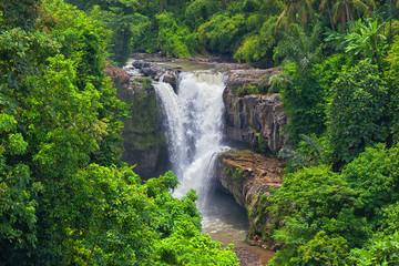 Fototapeta premium Tegenungan Waterfall of Bali