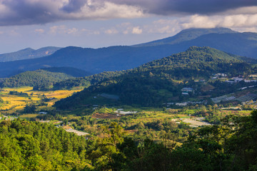 Naklejka premium Mount View