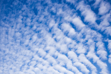 Cirrocumulus Wolken über Ostfriesland