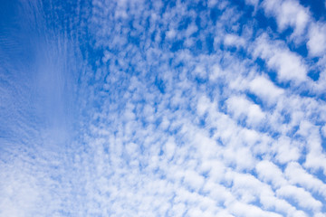 Cirrocumulus Wolken über Ostfriesland