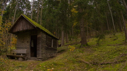 Cabin