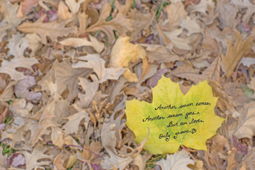 Our Love Grows Poem On A Bed Of Leaves