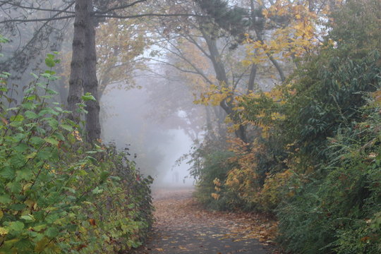 1 November