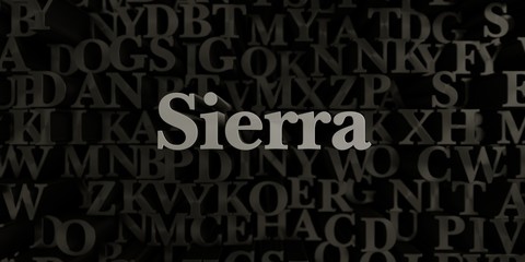 Sierra - Stock image of 3D rendered metallic typeset headline illustration.  Can be used for an online banner ad or a print postcard.