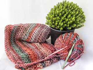 Bufanda de lana y ovillo con una planta de adorno sobre fondo blanco