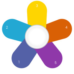 Camomile infographic template colourful petals 5 positions