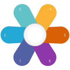 Camomile infographic template colourful petals 6 positions