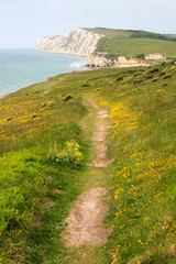 Coastal Path. Isle of Wight