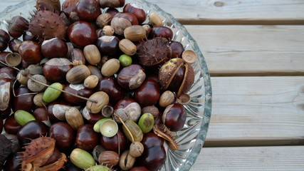 a dish with chestnuts and acorns