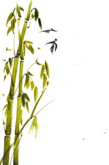 Fototapeta na wymiar Bamboo, watercolor illustration