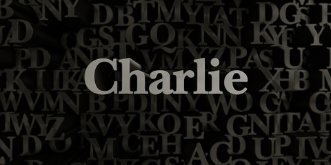 Charlie - Stock image of 3D rendered metallic typeset headline illustration.  Can be used for an online banner ad or a print postcard.