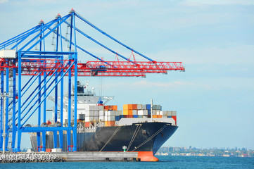 Cargo crane and ship