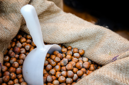 "Nocciola Piemonte Igp", also known as "Tonda Gentile di Langa", hazelnut variety produced in piedmont (italy), with burlap sack and scoop