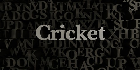 Cricket - Stock image of 3D rendered metallic typeset headline illustration.  Can be used for an online banner ad or a print postcard.