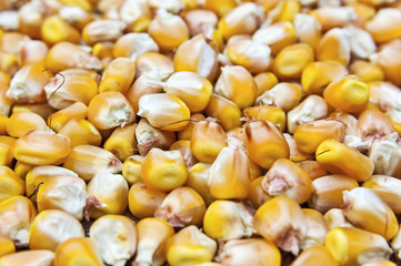 Kernel corn beans.