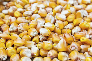 Kernel corn beans.