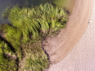 Trawa plażowa - 125480006