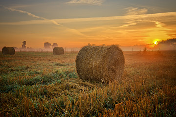 Sunset over field with hay bales