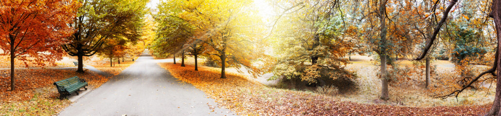 Goldene Herbstlandschaft ím Greenwich Park in London