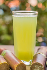 Sugarcane fresh juice with piece of sugarcane on wooden backgrou