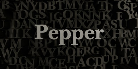 Pepper - Stock image of 3D rendered metallic typeset headline illustration.  Can be used for an online banner ad or a print postcard.