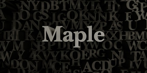 Maple - Stock image of 3D rendered metallic typeset headline illustration.  Can be used for an online banner ad or a print postcard.